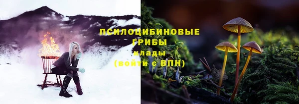 прущая мука Надым