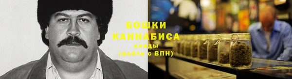 ПСИЛОЦИБИНОВЫЕ ГРИБЫ Наволоки