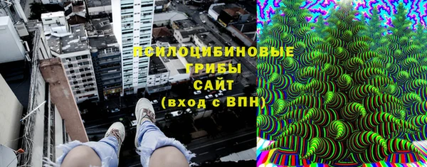 ПСИЛОЦИБИНОВЫЕ ГРИБЫ Наволоки